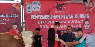 Kader di Karanganyar Bagikan 4 Ekor Sapi di Momen Idul Adha