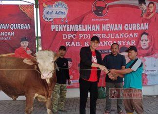 Kader di Karanganyar Bagikan 4 Ekor Sapi di Momen Idul Adha