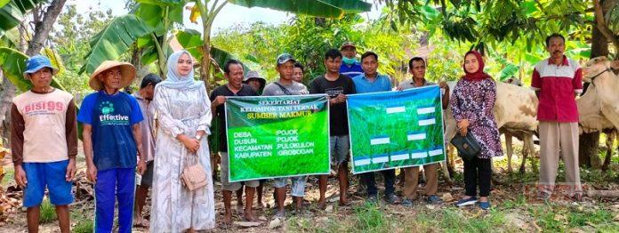 Dewi Megawati Gelontorkan 5 Sapi ke Kelompok Ternak Sumber Makmur