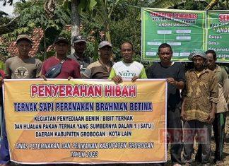 Hibahkan 10 Sapi, Rimbawanto Harapkan Jadi Stimulus Peternak Lokal