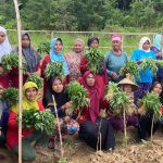 WhatsApp-Image-2023-07-11-at-08.50.03-2