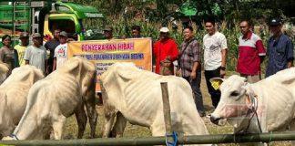 Rimbawanto Kawal Penyerahan Hibah 10 Sapi Brahman ke Warga Desa Kradenan