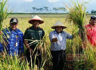 Hadiri Panen Raya Desa Candirejo, Ngesti Ingatkan Soal Pemurnian Tanah