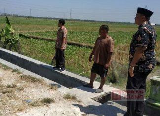 Dengar Aspirasi Warga, Heru Survei Langsung Saluran Pertanian di Gading