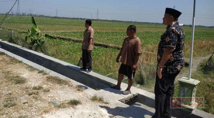Dengar Aspirasi Warga, Heru Survei Langsung Saluran Pertanian di Gading