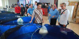 Bupati Klaten Inisiasi Event Festival Koi di Grha Bung Karno