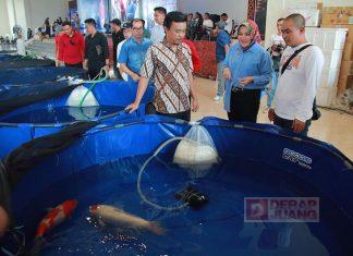 Bupati Klaten Inisiasi Event Festival Koi di Grha Bung Karno