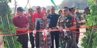 Sri Sumarni Resmikan Hasil Karya Bakti Mandiri TNI VII Desa Sambirejo