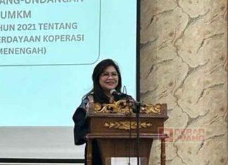 Evita Nursanty Sebut Koperasi dan UMKM Sebagai Penyangga Ekonomi Indonesia