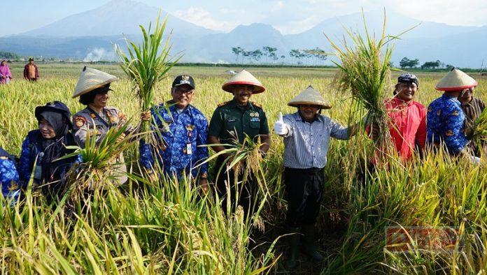 Ngesti Nugraha Tegaskan Kepada Damkar Dan Satpol PP Untuk Utamakan Layanan Masyarakat