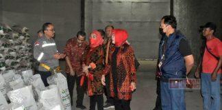 Sri Sumarni Pastikan Kelancaran Distribusi Pupuk, Dukung Sektor Pertanian