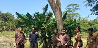 Purwanto: Bendungan Kebogoran Berpotensi Jadi Area Wisata