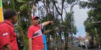 David Okta Kawal Aspirasi Pengaspalan Jalan Desa Rawalo