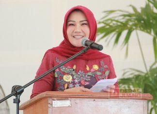 Sri Mulyani Serahkan Tunjangan Kesejahteraan untuk Honorer