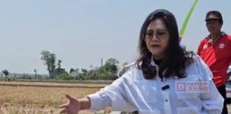 Dukung Pembangunan Daerah, Evita Resmikan CSR Bantuan Talud di Desa Wedoro