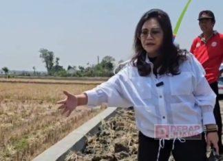 Dukung Pembangunan Daerah, Evita Resmikan CSR Bantuan Talud di Desa Wedoro