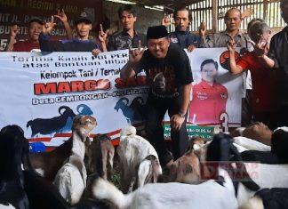 Wahju Djatmika Serahkan Bantuan Ternak Kambing di Gembongan