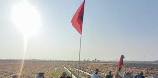 Perkuat ‘Kaum Marhaen’, Eko Budi Santoso Dengar Aspirasi Petani di Desa Geyer