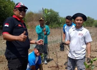 Andang Ikuti Kegiatan Tanam Mangrove, Bersama KPU Jepara