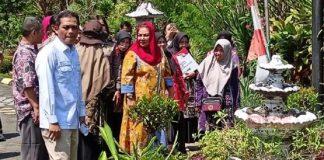 Mbak Ita Berencana Gandeng Petani, Garap Lahan Pertanian Pemkot Semarang