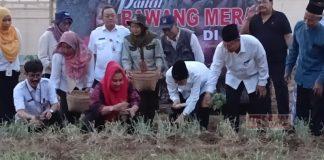 Mbak Ita Dorong Tempat Ibadah di Kota Semarang Memiliki Urban Farming Mbak Ita Dorong Tempat Ibadah di Kota Semarang Memiliki Urban Farming