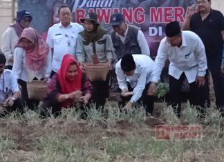 Mbak Ita Dorong Tempat Ibadah di Kota Semarang Memiliki Urban Farming