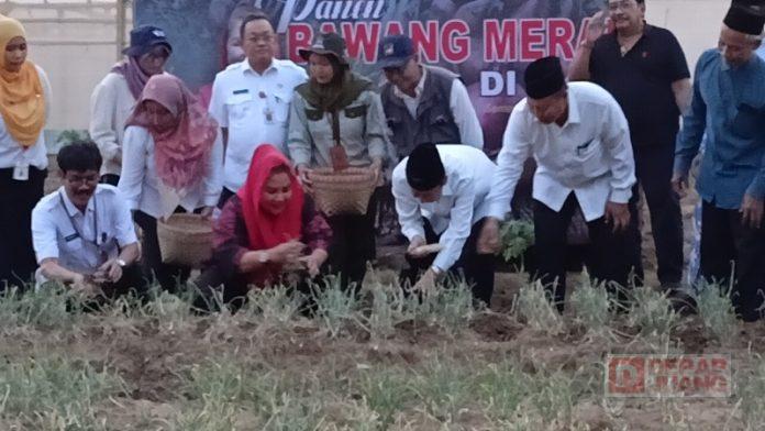 Mbak Ita Dorong Tempat Ibadah di Kota Semarang Memiliki Urban Farming Mbak Ita Dorong Tempat Ibadah di Kota Semarang Memiliki Urban Farming