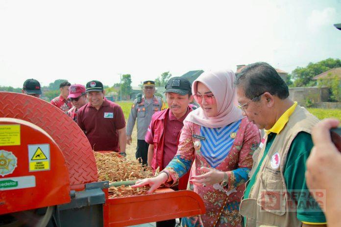 Sri Mulyani Panen Kedelai Bersama FKUB Klaten.