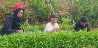 Sri Rejeki Apresiasi Terobosan Kader SICITA Sri Rejeki