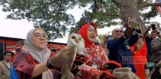 Tekan Hama Tikus, Bupati Yuni Lepas 40 Ekor Burung Hantu Tyto Alba