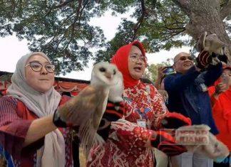 Tekan Hama Tikus, Bupati Yuni Lepas 40 Ekor Burung Hantu Tyto Alba