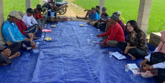 Azalea Gelar Diskusi dan Penyuluhan Petani Azalea Gelar Diskusi dan Penyuluhan Petani