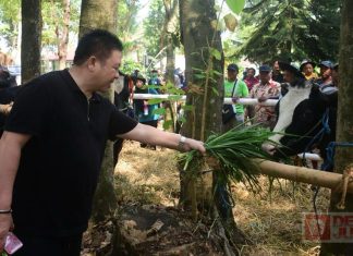 Hadiri Gebyar Pangan Sehat Berkualitas, Dance Ingatkan Pentingnya Menjaga Ketahanan Pangan