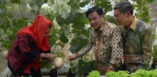 Mbak Ita Apresiasi Inovasi Teknologi Urban Farming Sekolah Nusaputera Mbak Ita Apresiasi Inovasi Teknologi Urban Farming Sekolah Nusaputera