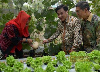 Mbak Ita Apresiasi Inovasi Teknologi Urban Farming Sekolah Nusaputera