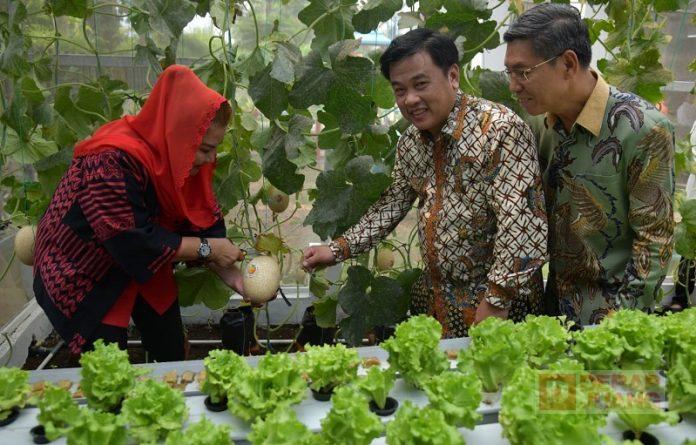 Mbak Ita Apresiasi Inovasi Teknologi Urban Farming Sekolah Nusaputera Mbak Ita Apresiasi Inovasi Teknologi Urban Farming Sekolah Nusaputera