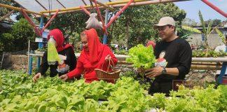 Dukung Anak Muda Bertani, Mbak Ita Gagas Program 'Petani Milenial'