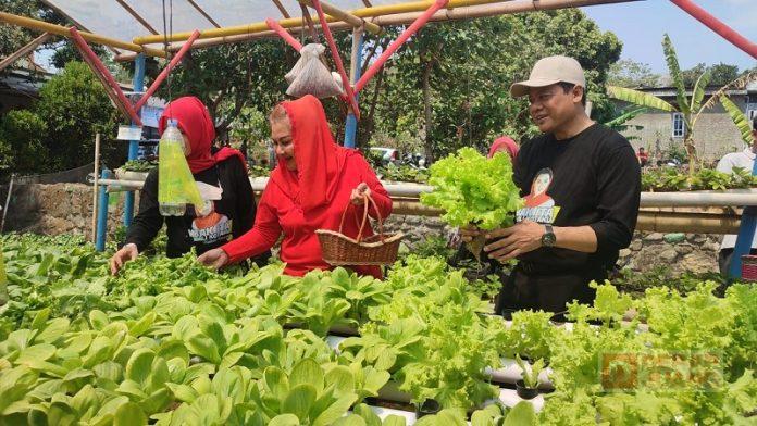 Dukung Anak Muda Bertani, Mbak Ita Gagas Program 'Petani Milenial' Dukung Anak Muda Bertani, Mbak Ita Gagas Program 'Petani Milenial'