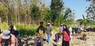 Bibi Hastuti Berikan Bantuan Material Untuk Akses Jalan Desa Tanggel Foto : Bibi Hastuti bersama warga tanggel gotong royong meratakan huruk jalan