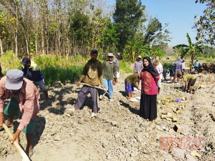 Foto : Bibi Hastuti bersama warga tanggel gotong royong meratakan huruk jalan Foto : Bibi Hastuti bersama warga tanggel gotong royong meratakan huruk jalan