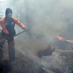 Picture of The Day – 31 Oktober 2023