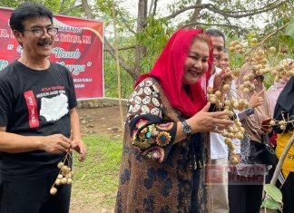 Mbak Ita Dorong Masyarakat Mulai Tanam Tanaman Yang Menghasilkan