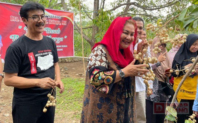 Mbak Ita Dorong Masyarakat Mulai Tanam Tanaman Yang Menghasilkan Mbak Ita Dorong Masyarakat Mulai Tanam Tanaman Yang Menghasilkan