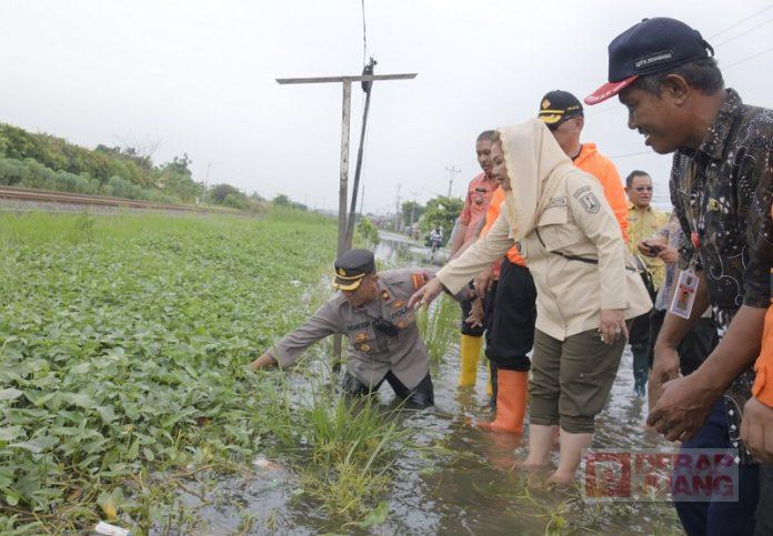 Gerak Cepat, Mbak Ita dan Jajarannya Tangani Banjir di Bangetayu Kulon Gerak Cepat, Mbak Ita dan Jajarannya Tangani Banjir di Bangetayu Kulon