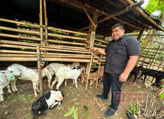 Ofan Realisasikan 22 Ekor Kambing di Kejawar Ofan