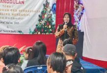 Rayakan Natal, Novi: Rayakan Dengan Sederhana dan Tetap Jaga Toleransi