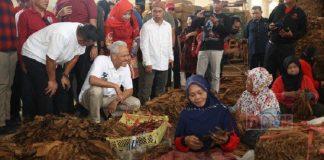 Ganjar Temui Para Petani Tembakau di Klaten, Dorong Jateng Jadi Pusat Tembakau Dunia Ganjar Temui Para Petani Tembakau di Klaten, Dorong Jateng Jadi Pusat Tembakau Dunia