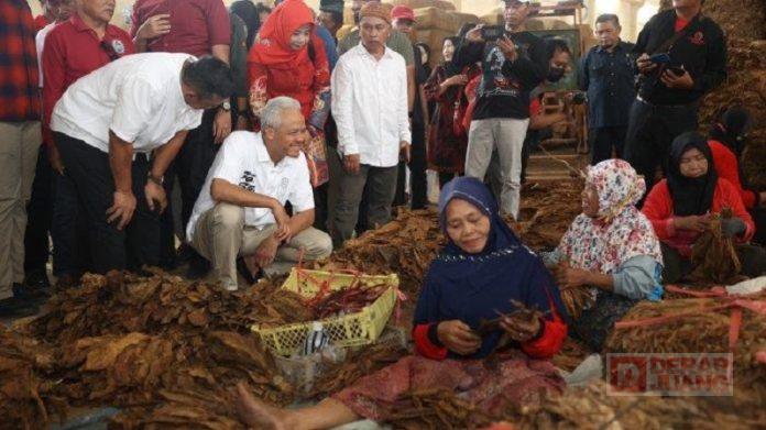 Ganjar Temui Para Petani Tembakau di Klaten, Dorong Jateng Jadi Pusat Tembakau Dunia Ganjar Temui Para Petani Tembakau di Klaten, Dorong Jateng Jadi Pusat Tembakau Dunia