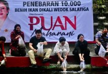 Puan Maharani Tebar Bibit Ikan Produktif di Kaliwedok Kalitaman Salatiga