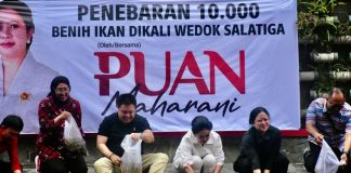 Puan Maharani Tebar Bibit Ikan Produktif di Kaliwedok Kalitaman Salatiga